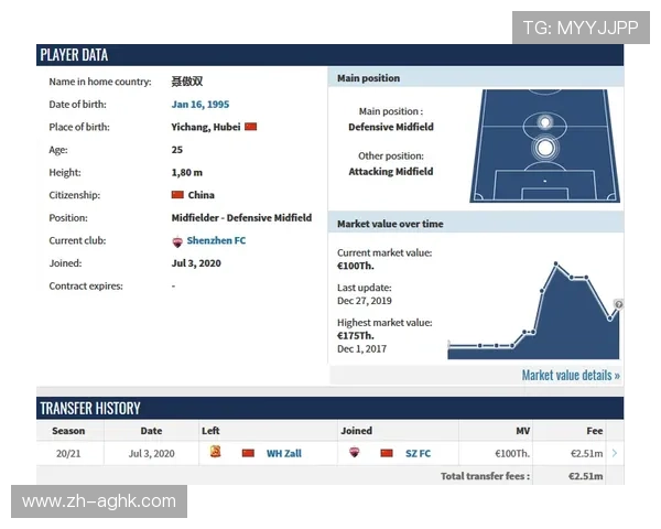 法甲球队年度转会回顾：各球队转会动态与影响