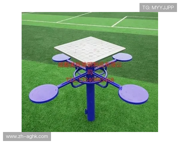 社区健身器材配置与使用情况分析报告 社区健身器材配置与使用情况分析报告